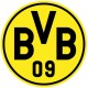 Decalcomania Borussia Dortmund (4x4 pollici)