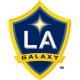 Decalcomania LA Galaxy (4x4 pollici)